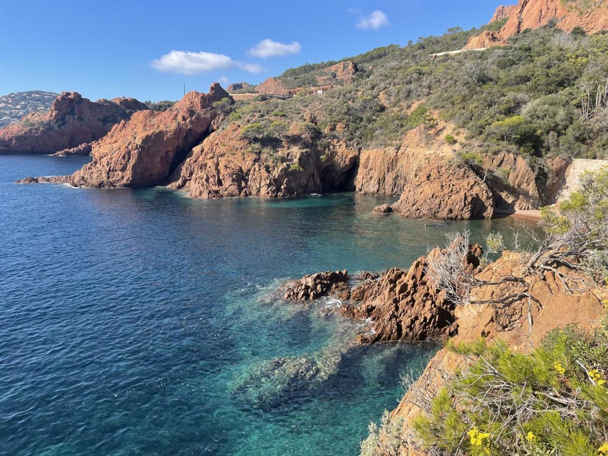 فندق Blue Horizon Saint-Raphaël المظهر الخارجي الصورة